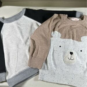 Two Boys Size 2 T Sweaters. Pre Owned, Both In Good Condition. Cat And Jack.